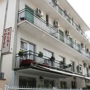 Elsi Rimini